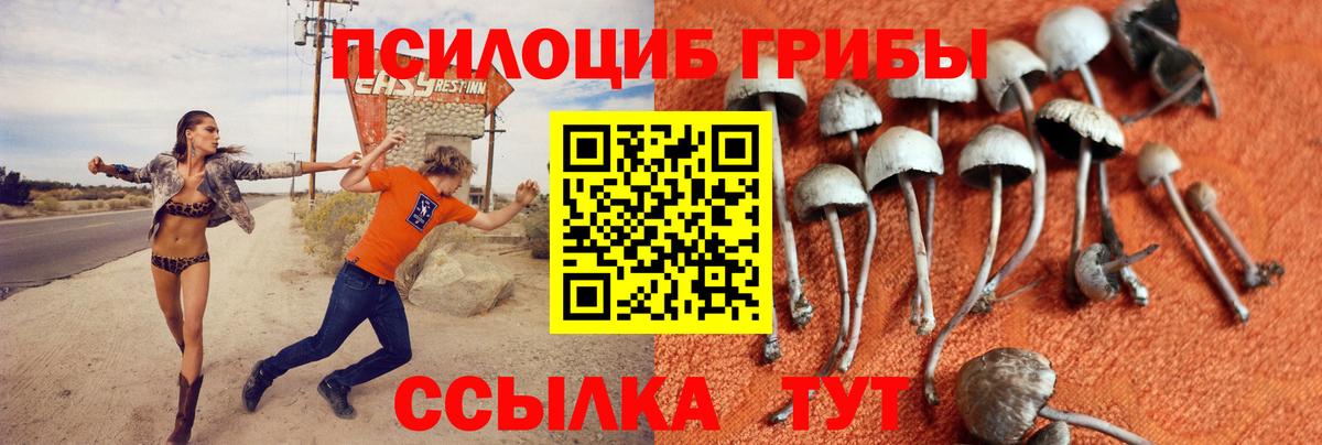 Галлюциногенные грибы мицелий  Галлюциногенные грибы Psilocybe  Октябрьский  Вход с VPN 