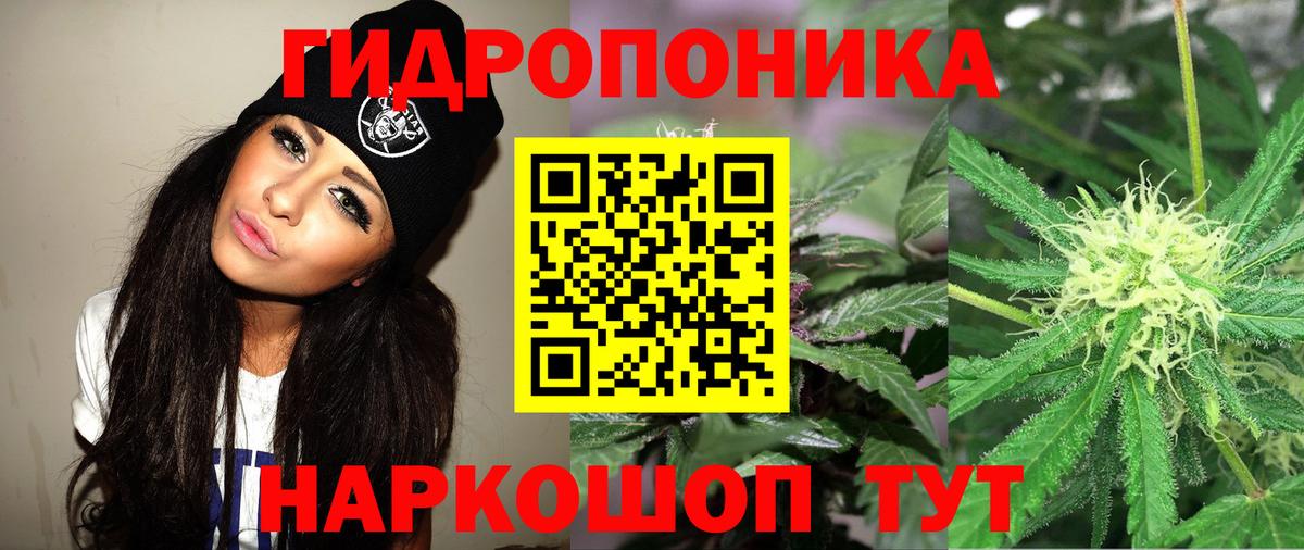 Канабис индика  Вход с VPN  Конопля марихуана  Октябрьский  Канабис White Widow 